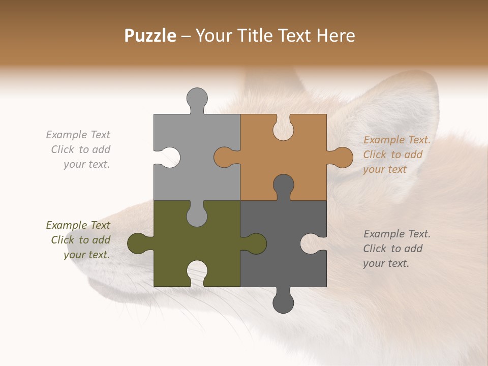 Red Fox (4 Years) - Vulpes Vulpes In Front Of A White Background PowerPoint Template