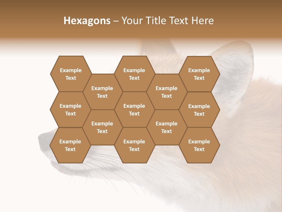 Red Fox (4 Years) - Vulpes Vulpes In Front Of A White Background PowerPoint Template