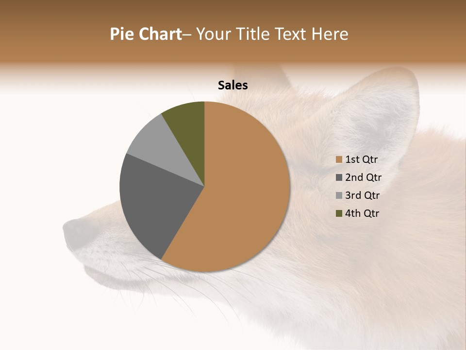 Red Fox (4 Years) - Vulpes Vulpes In Front Of A White Background PowerPoint Template