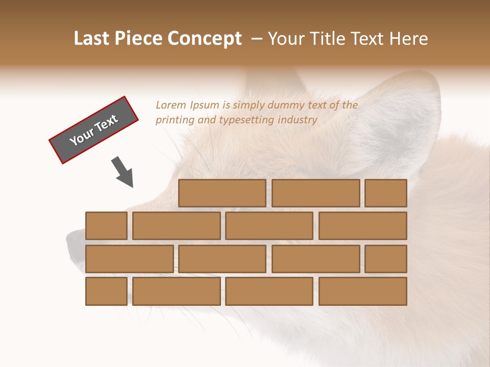 Red Fox (4 Years) - Vulpes Vulpes In Front Of A White Background PowerPoint Template