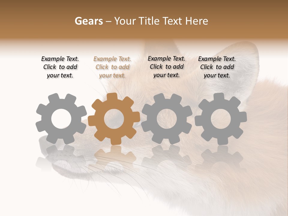 Red Fox (4 Years) - Vulpes Vulpes In Front Of A White Background PowerPoint Template