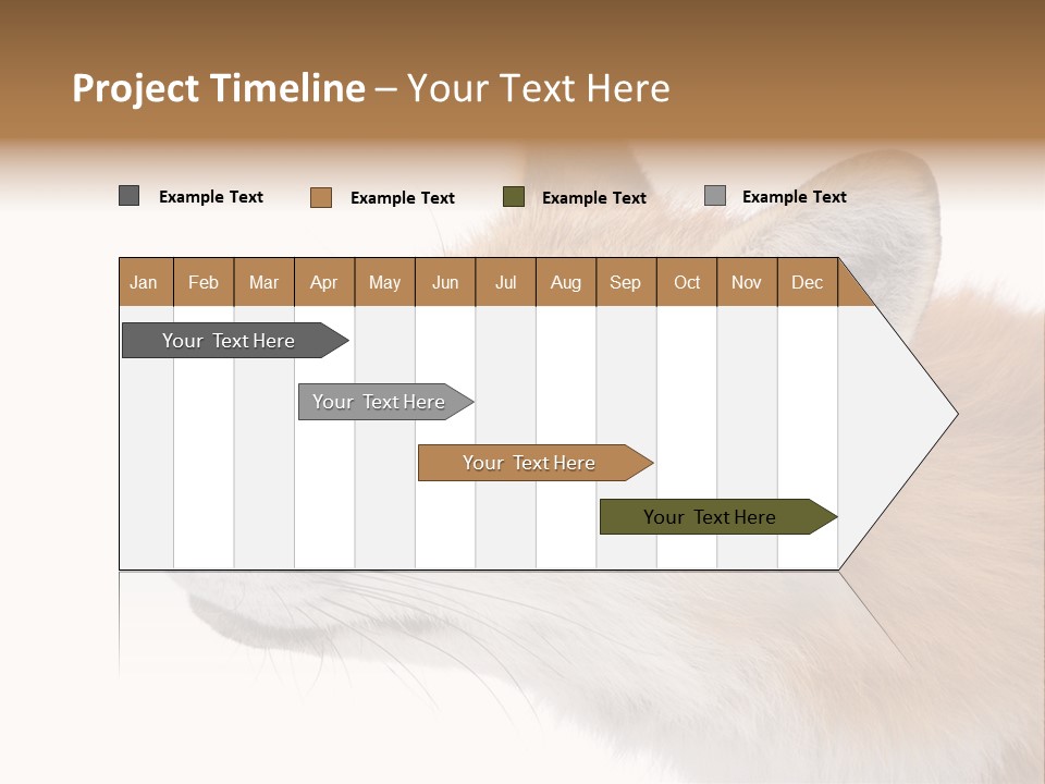 Red Fox (4 Years) - Vulpes Vulpes In Front Of A White Background PowerPoint Template