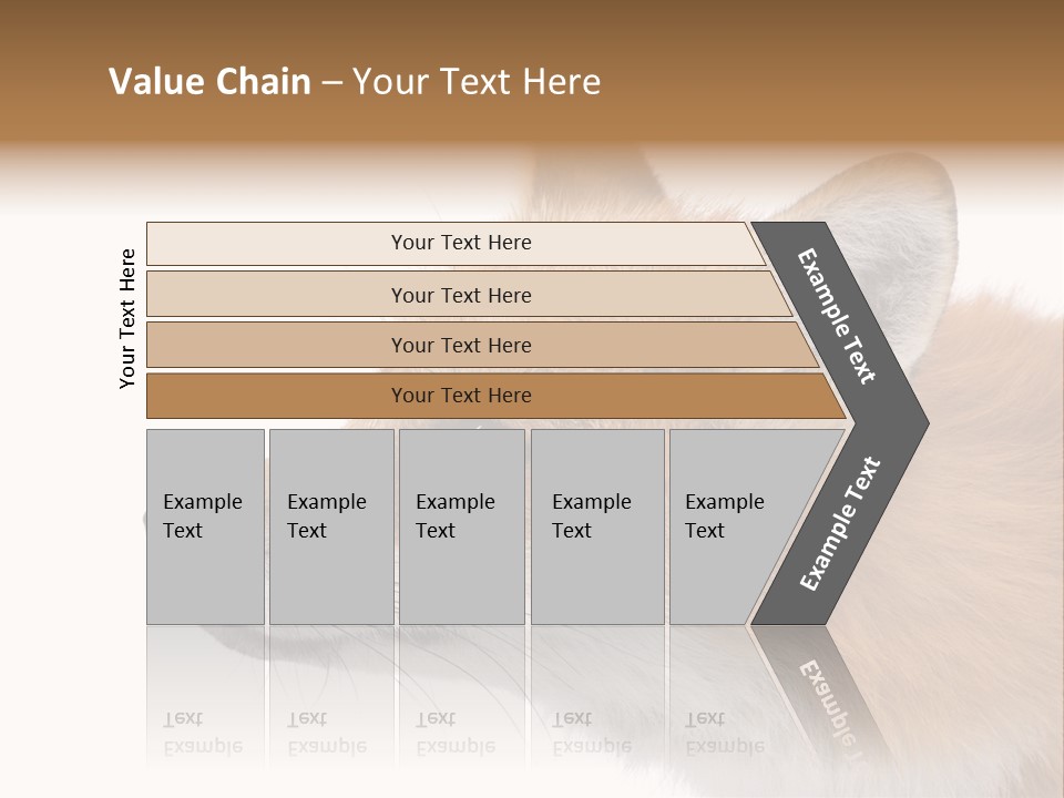 Red Fox (4 Years) - Vulpes Vulpes In Front Of A White Background PowerPoint Template