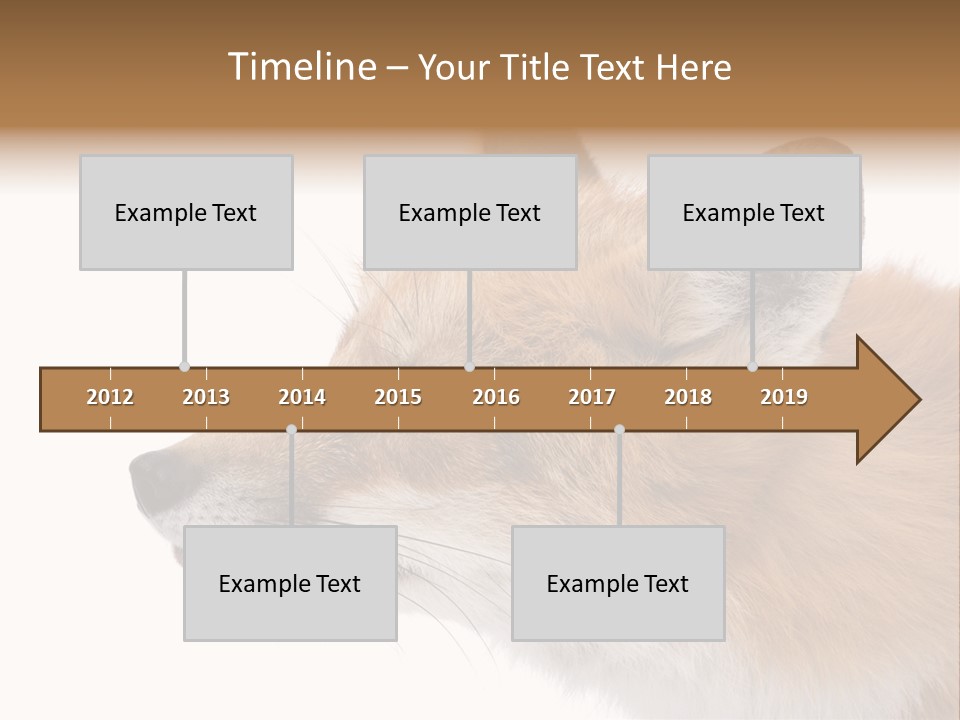 Red Fox (4 Years) - Vulpes Vulpes In Front Of A White Background PowerPoint Template