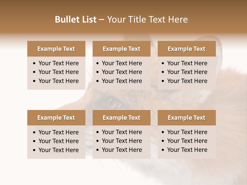 Red Fox (4 Years) - Vulpes Vulpes In Front Of A White Background PowerPoint Template