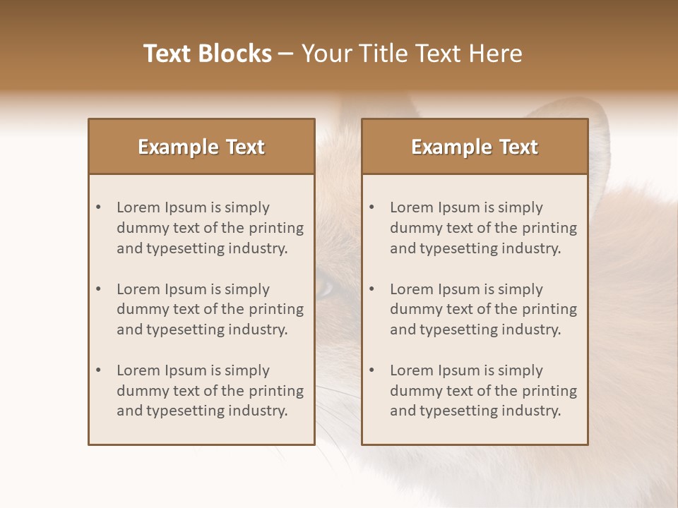 Red Fox (4 Years) - Vulpes Vulpes In Front Of A White Background PowerPoint Template