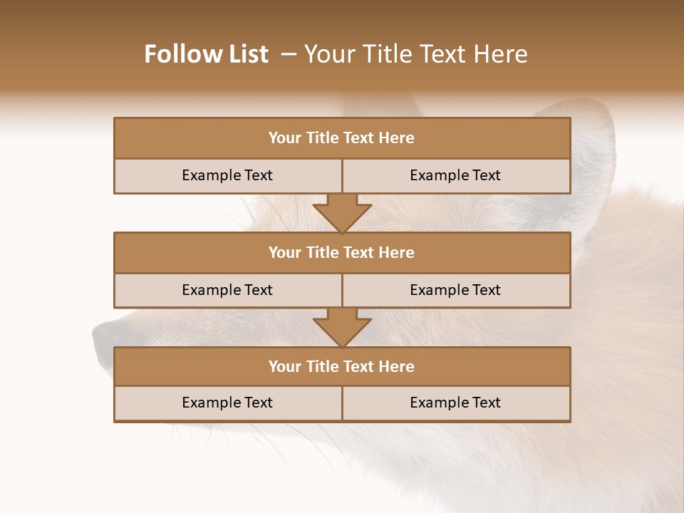 Red Fox (4 Years) - Vulpes Vulpes In Front Of A White Background PowerPoint Template