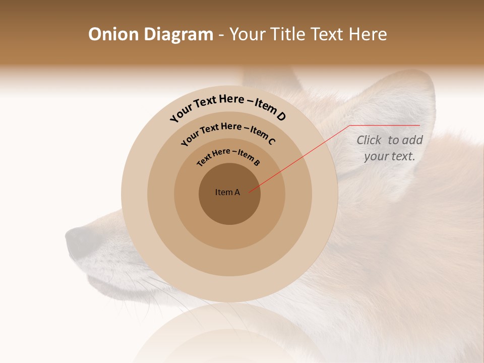 Red Fox (4 Years) - Vulpes Vulpes In Front Of A White Background PowerPoint Template