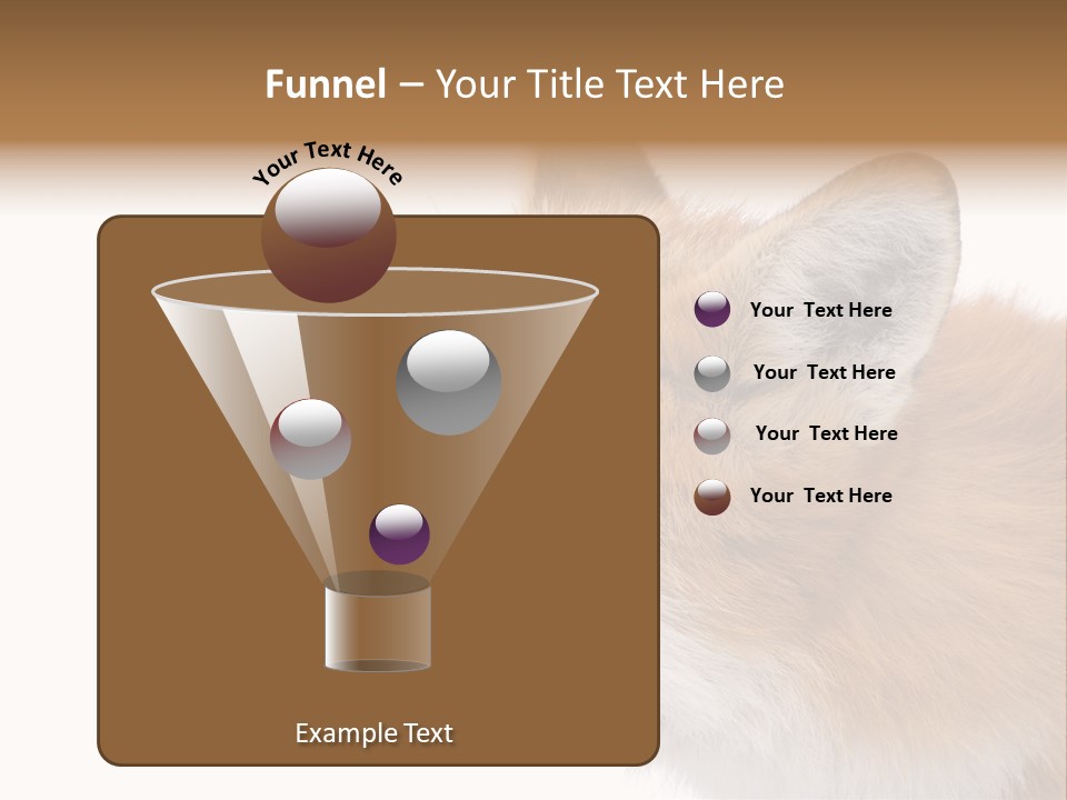 Red Fox (4 Years) - Vulpes Vulpes In Front Of A White Background PowerPoint Template