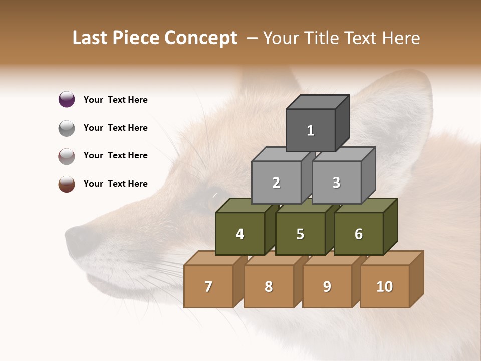 Red Fox (4 Years) - Vulpes Vulpes In Front Of A White Background PowerPoint Template