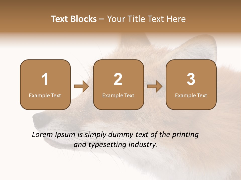 Red Fox (4 Years) - Vulpes Vulpes In Front Of A White Background PowerPoint Template