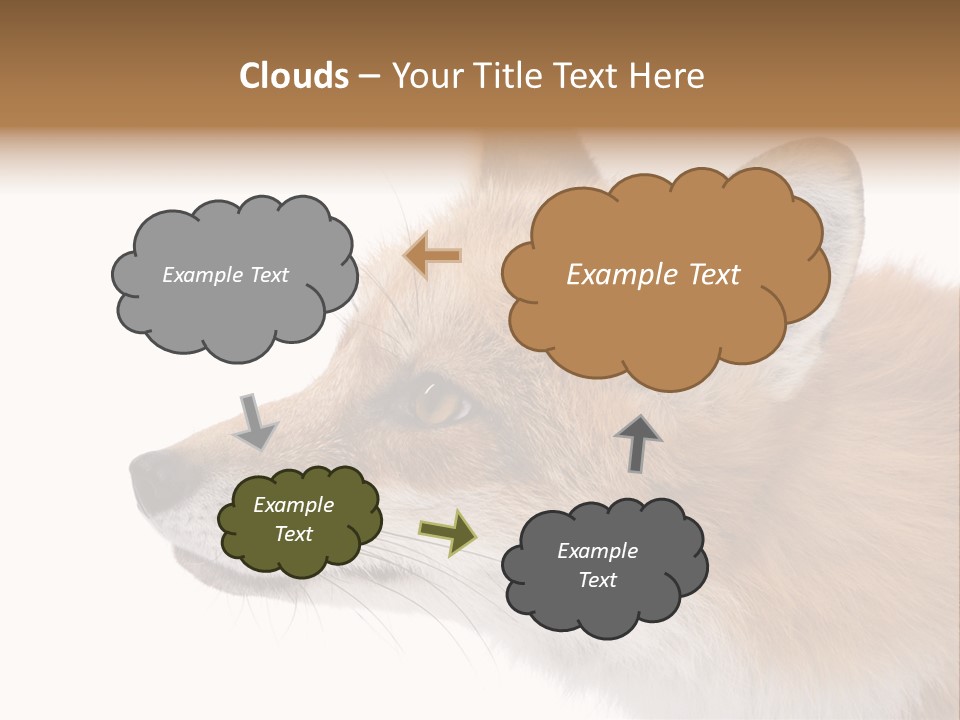 Red Fox (4 Years) - Vulpes Vulpes In Front Of A White Background PowerPoint Template