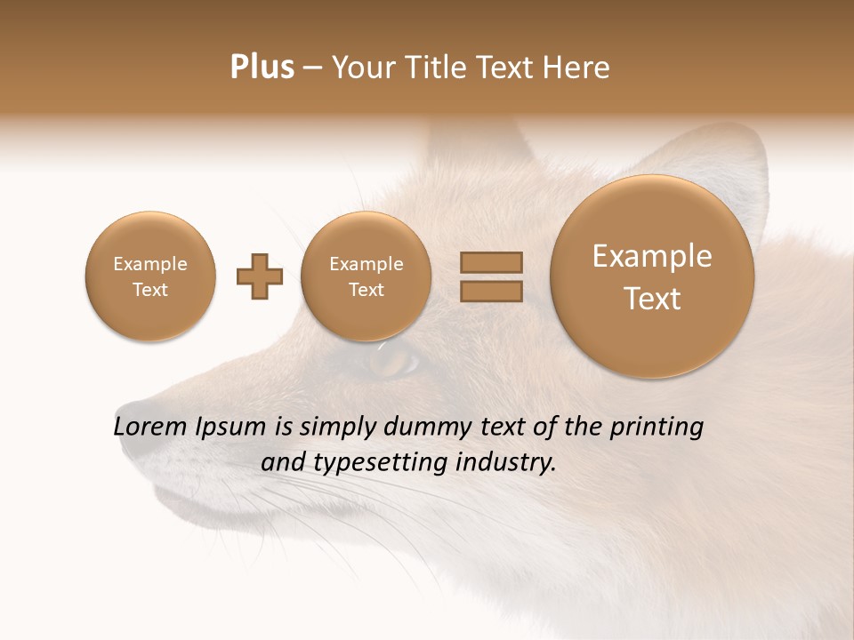 Red Fox (4 Years) - Vulpes Vulpes In Front Of A White Background PowerPoint Template