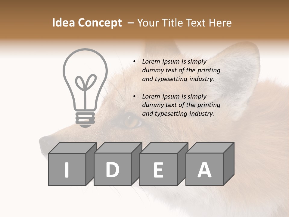 Red Fox (4 Years) - Vulpes Vulpes In Front Of A White Background PowerPoint Template