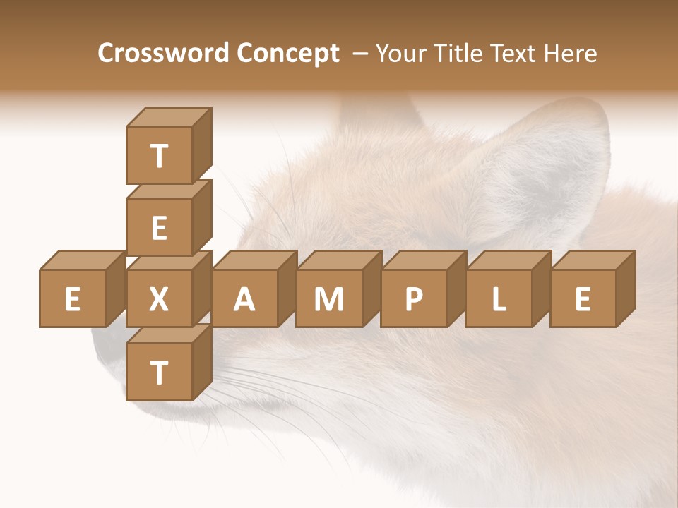 Red Fox (4 Years) - Vulpes Vulpes In Front Of A White Background PowerPoint Template