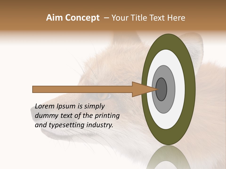 Red Fox (4 Years) - Vulpes Vulpes In Front Of A White Background PowerPoint Template