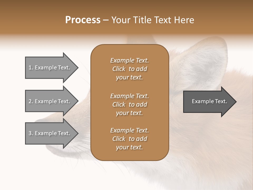 Red Fox (4 Years) - Vulpes Vulpes In Front Of A White Background PowerPoint Template