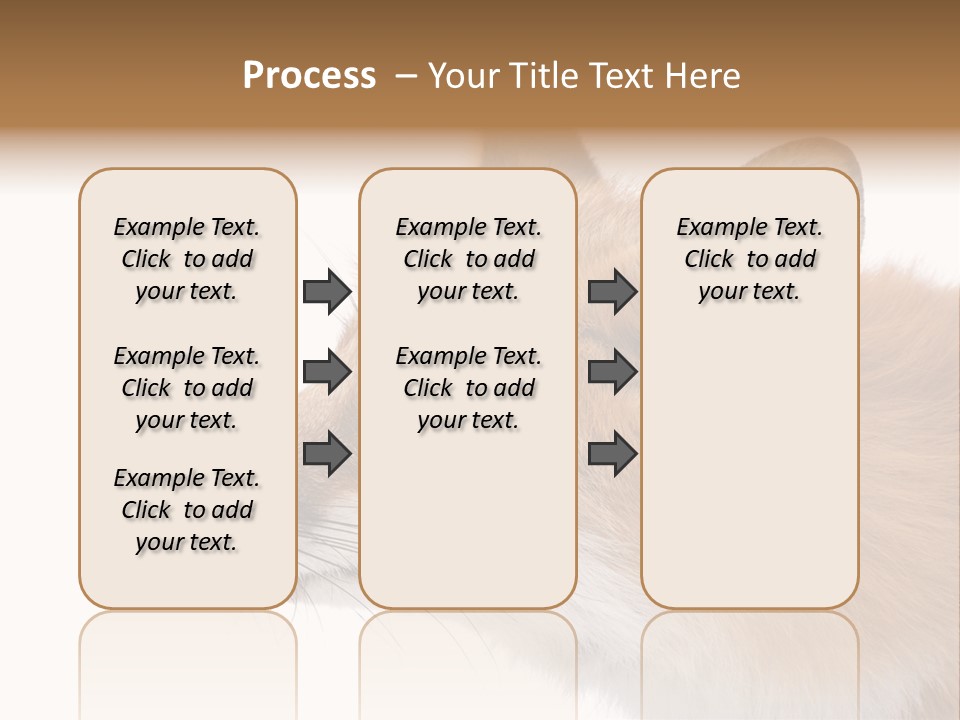 Red Fox (4 Years) - Vulpes Vulpes In Front Of A White Background PowerPoint Template