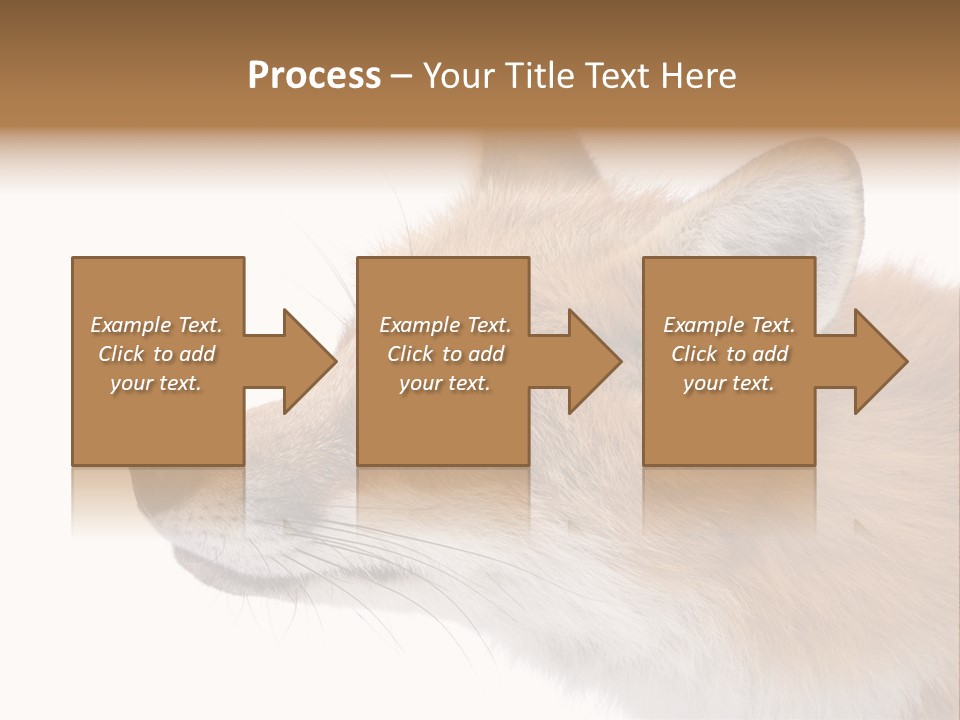 Red Fox (4 Years) - Vulpes Vulpes In Front Of A White Background PowerPoint Template
