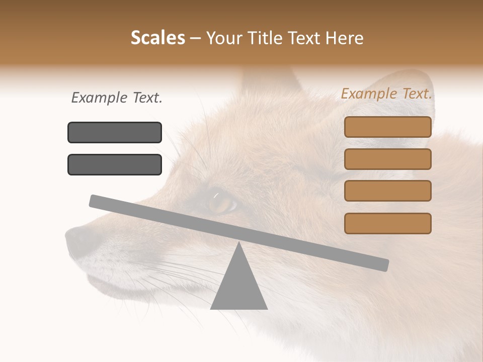 Red Fox (4 Years) - Vulpes Vulpes In Front Of A White Background PowerPoint Template