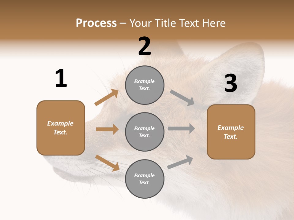 Red Fox (4 Years) - Vulpes Vulpes In Front Of A White Background PowerPoint Template