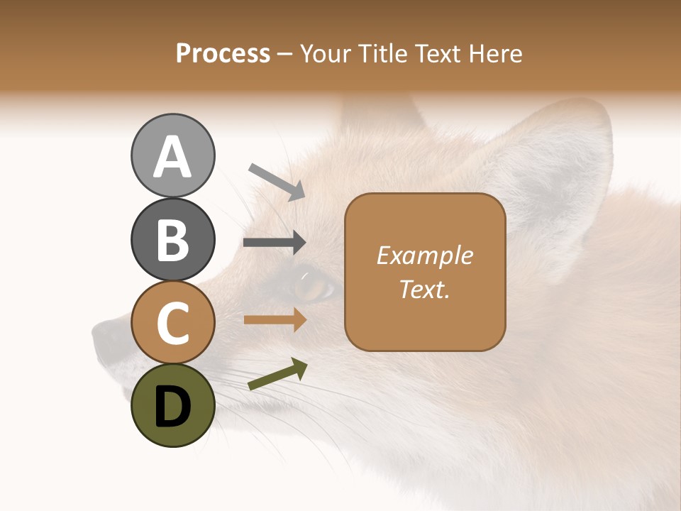 Red Fox (4 Years) - Vulpes Vulpes In Front Of A White Background PowerPoint Template