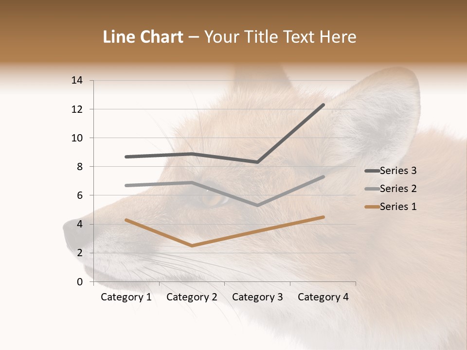 Red Fox (4 Years) - Vulpes Vulpes In Front Of A White Background PowerPoint Template
