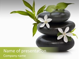 Spa Still Life With White Flowers PowerPoint Template