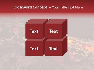 Barafu Camp On Machame Route. Mount Kilimanjaro, Tanzania. PowerPoint Template