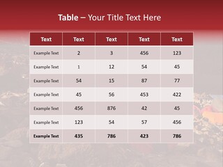 Barafu Camp On Machame Route. Mount Kilimanjaro, Tanzania. PowerPoint Template
