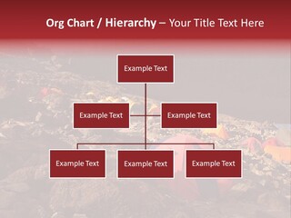 Barafu Camp On Machame Route. Mount Kilimanjaro, Tanzania. PowerPoint Template