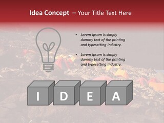 Barafu Camp On Machame Route. Mount Kilimanjaro, Tanzania. PowerPoint Template