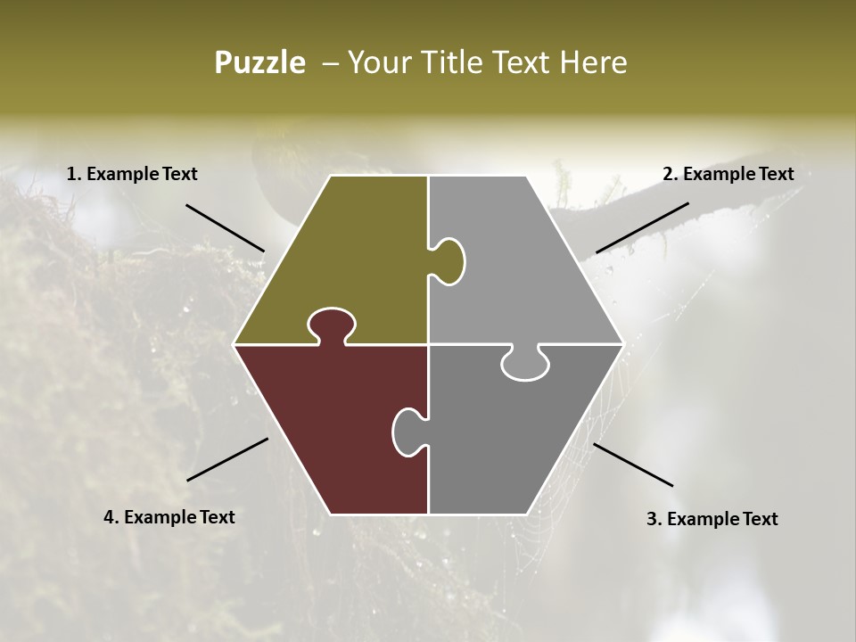 Collared Redstart Has A Different View On Life!!!!!Red Capped Grey Vested Warbler, Monteverde Cloud Forest, Costa Rica, November 2008. Myioborus Torquatus, Arulidae Family PowerPoint Template