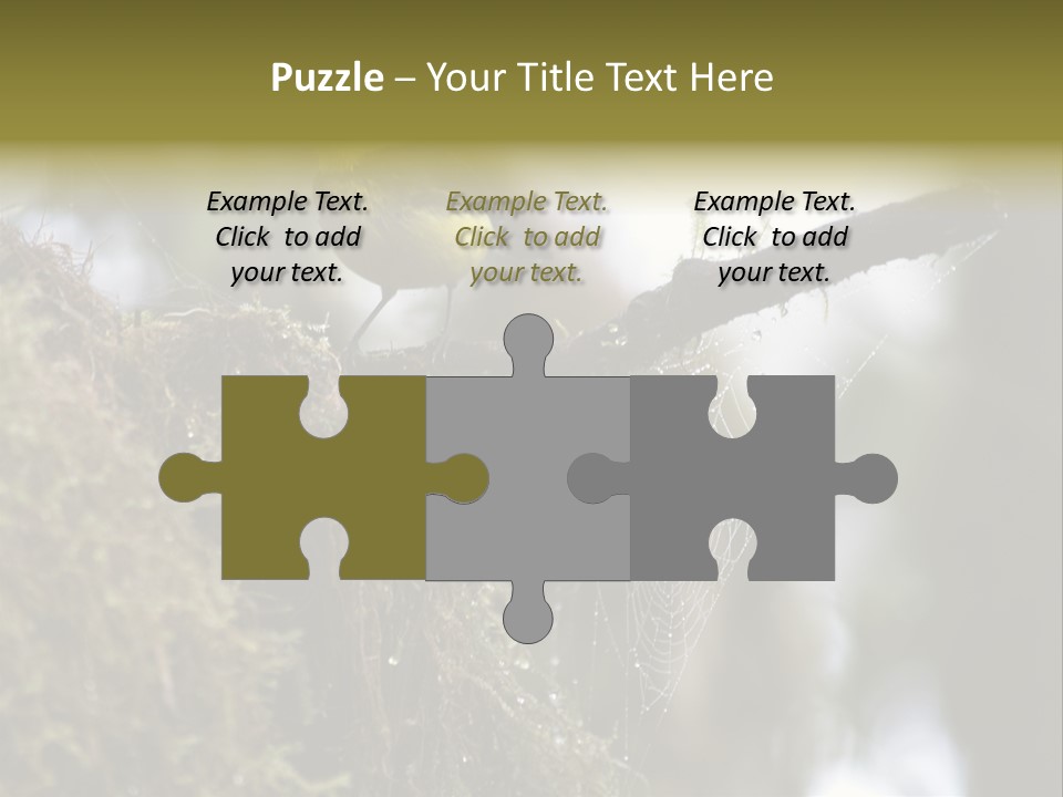 Collared Redstart Has A Different View On Life!!!!!Red Capped Grey Vested Warbler, Monteverde Cloud Forest, Costa Rica, November 2008. Myioborus Torquatus, Arulidae Family PowerPoint Template