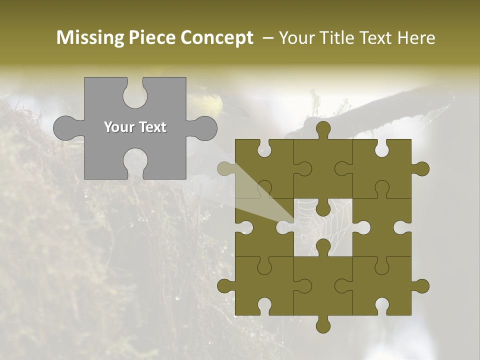 Collared Redstart Has A Different View On Life!!!!!Red Capped Grey Vested Warbler, Monteverde Cloud Forest, Costa Rica, November 2008. Myioborus Torquatus, Arulidae Family PowerPoint Template