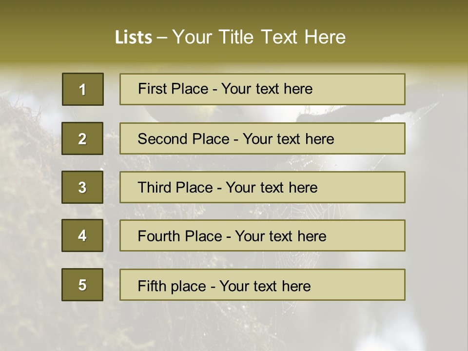 Collared Redstart Has A Different View On Life!!!!!Red Capped Grey Vested Warbler, Monteverde Cloud Forest, Costa Rica, November 2008. Myioborus Torquatus, Arulidae Family PowerPoint Template