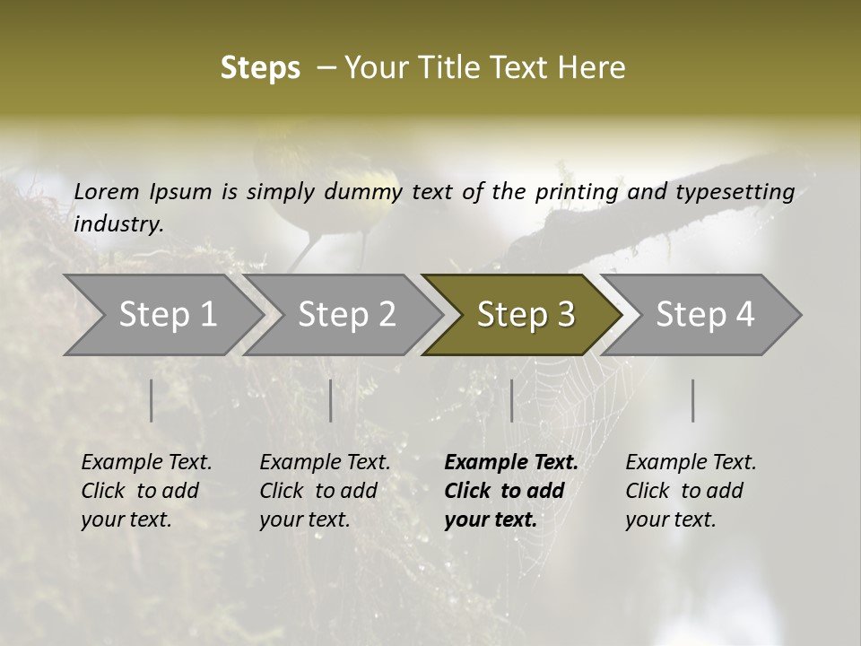 Collared Redstart Has A Different View On Life!!!!!Red Capped Grey Vested Warbler, Monteverde Cloud Forest, Costa Rica, November 2008. Myioborus Torquatus, Arulidae Family PowerPoint Template