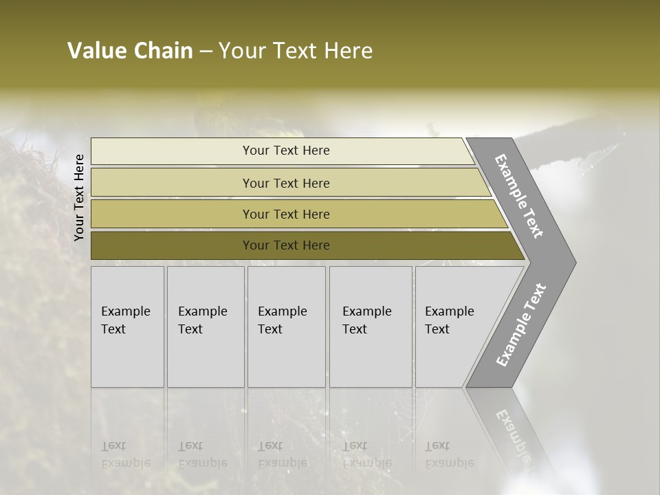 Collared Redstart Has A Different View On Life!!!!!Red Capped Grey Vested Warbler, Monteverde Cloud Forest, Costa Rica, November 2008. Myioborus Torquatus, Arulidae Family PowerPoint Template