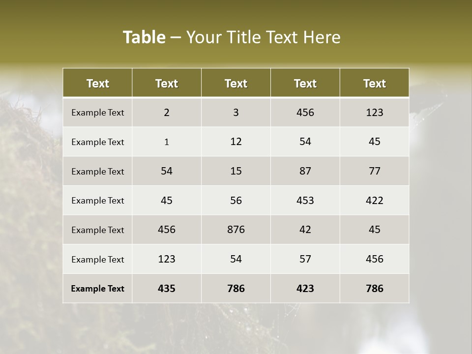 Collared Redstart Has A Different View On Life!!!!!Red Capped Grey Vested Warbler, Monteverde Cloud Forest, Costa Rica, November 2008. Myioborus Torquatus, Arulidae Family PowerPoint Template