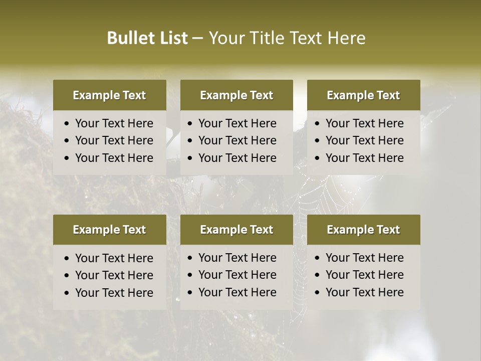 Collared Redstart Has A Different View On Life!!!!!Red Capped Grey Vested Warbler, Monteverde Cloud Forest, Costa Rica, November 2008. Myioborus Torquatus, Arulidae Family PowerPoint Template