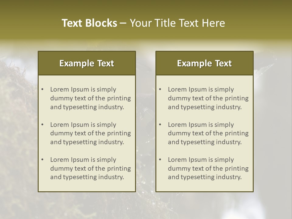Collared Redstart Has A Different View On Life!!!!!Red Capped Grey Vested Warbler, Monteverde Cloud Forest, Costa Rica, November 2008. Myioborus Torquatus, Arulidae Family PowerPoint Template