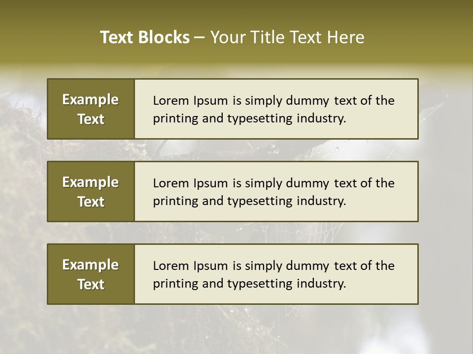 Collared Redstart Has A Different View On Life!!!!!Red Capped Grey Vested Warbler, Monteverde Cloud Forest, Costa Rica, November 2008. Myioborus Torquatus, Arulidae Family PowerPoint Template