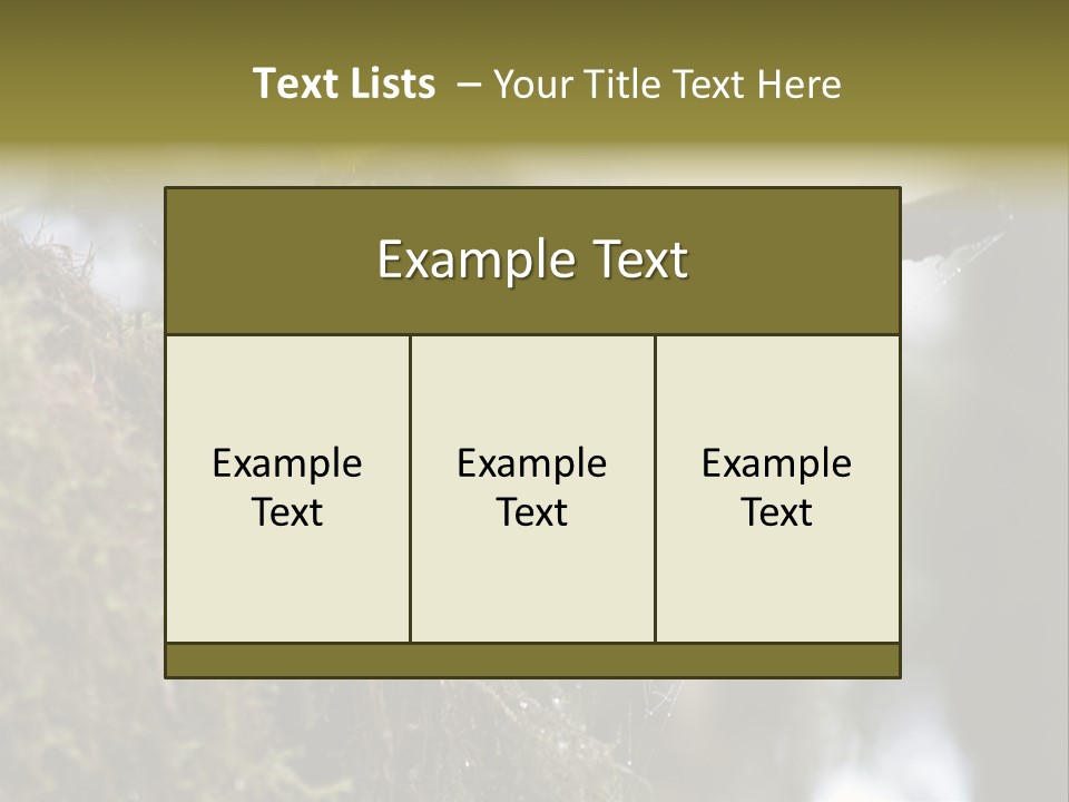 Collared Redstart Has A Different View On Life!!!!!Red Capped Grey Vested Warbler, Monteverde Cloud Forest, Costa Rica, November 2008. Myioborus Torquatus, Arulidae Family PowerPoint Template