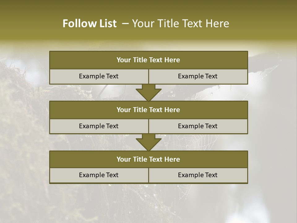 Collared Redstart Has A Different View On Life!!!!!Red Capped Grey Vested Warbler, Monteverde Cloud Forest, Costa Rica, November 2008. Myioborus Torquatus, Arulidae Family PowerPoint Template