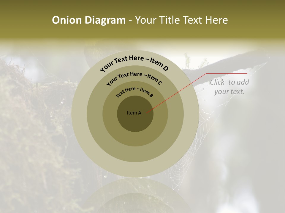 Collared Redstart Has A Different View On Life!!!!!Red Capped Grey Vested Warbler, Monteverde Cloud Forest, Costa Rica, November 2008. Myioborus Torquatus, Arulidae Family PowerPoint Template