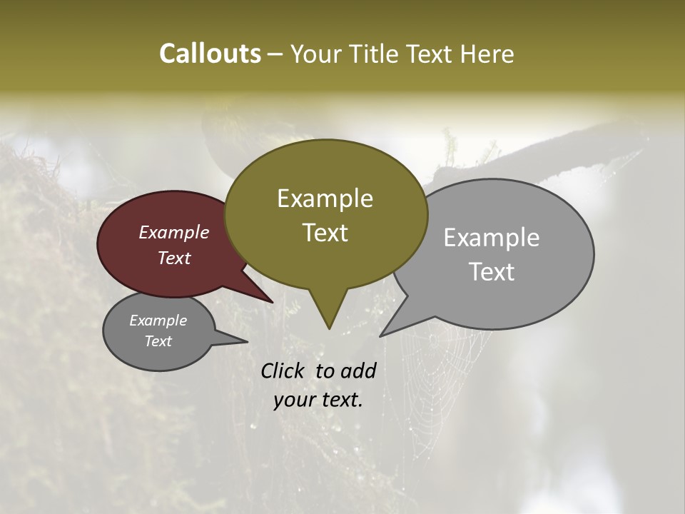Collared Redstart Has A Different View On Life!!!!!Red Capped Grey Vested Warbler, Monteverde Cloud Forest, Costa Rica, November 2008. Myioborus Torquatus, Arulidae Family PowerPoint Template