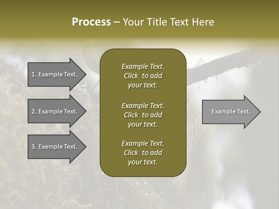 Collared Redstart Has A Different View On Life!!!!!Red Capped Grey Vested Warbler, Monteverde Cloud Forest, Costa Rica, November 2008. Myioborus Torquatus, Arulidae Family PowerPoint Template
