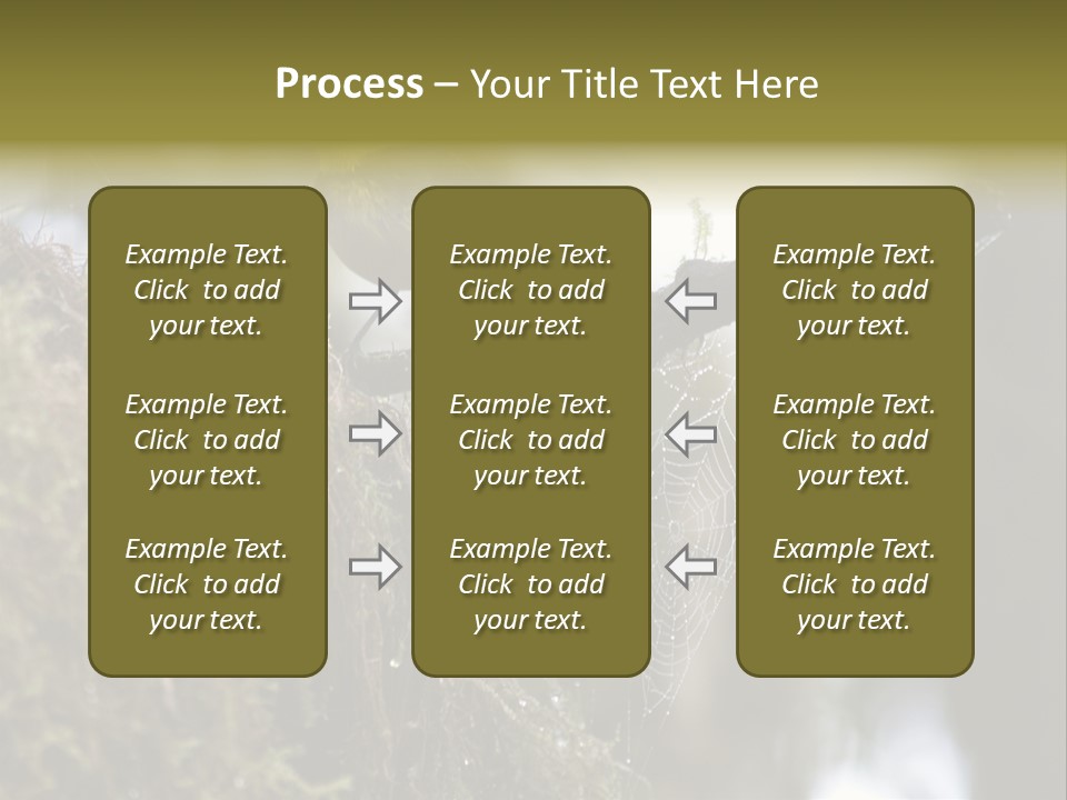 Collared Redstart Has A Different View On Life!!!!!Red Capped Grey Vested Warbler, Monteverde Cloud Forest, Costa Rica, November 2008. Myioborus Torquatus, Arulidae Family PowerPoint Template