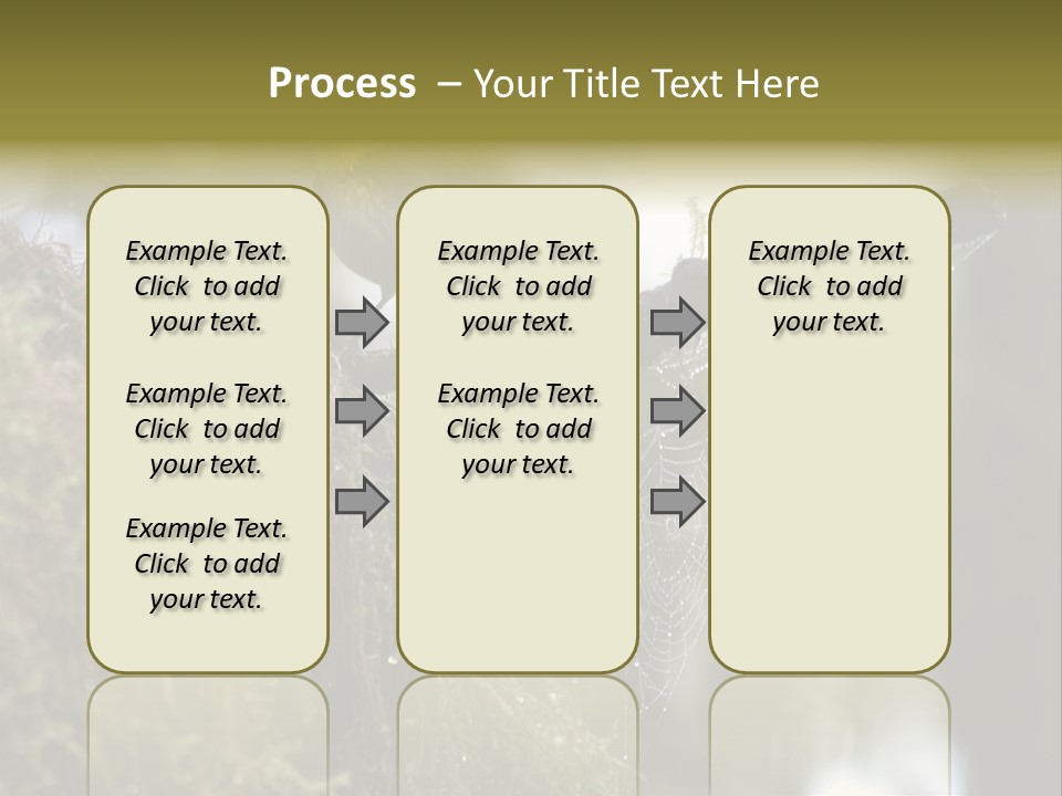 Collared Redstart Has A Different View On Life!!!!!Red Capped Grey Vested Warbler, Monteverde Cloud Forest, Costa Rica, November 2008. Myioborus Torquatus, Arulidae Family PowerPoint Template