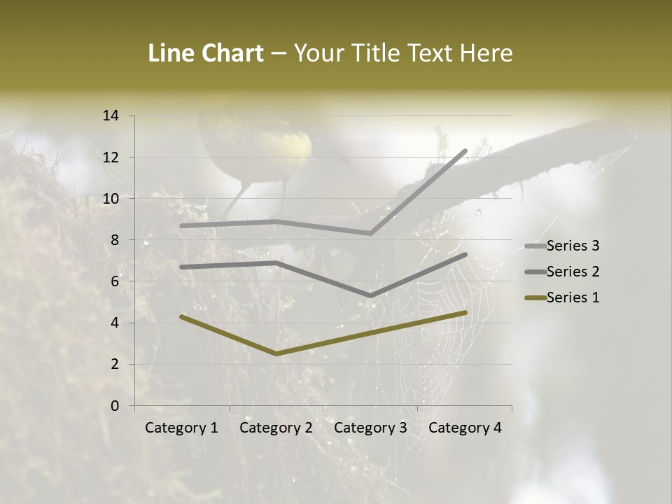 Collared Redstart Has A Different View On Life!!!!!Red Capped Grey Vested Warbler, Monteverde Cloud Forest, Costa Rica, November 2008. Myioborus Torquatus, Arulidae Family PowerPoint Template